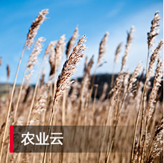 中国·88858cc永利(股份)有限公司-官方网站