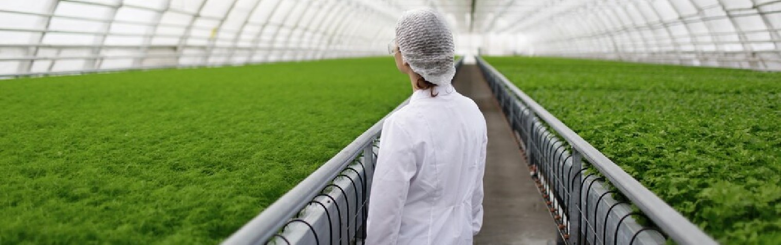 中国·88858cc永利(股份)有限公司-官方网站